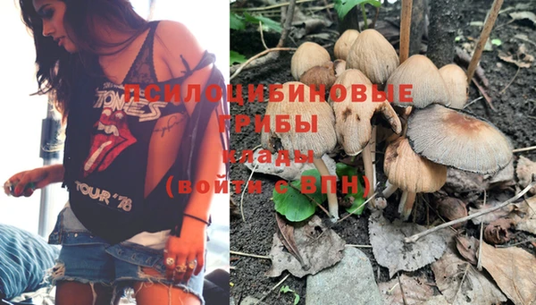 амф Михайловск