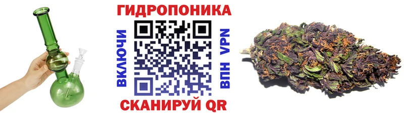 Конопля Ganja  Сухиничи 